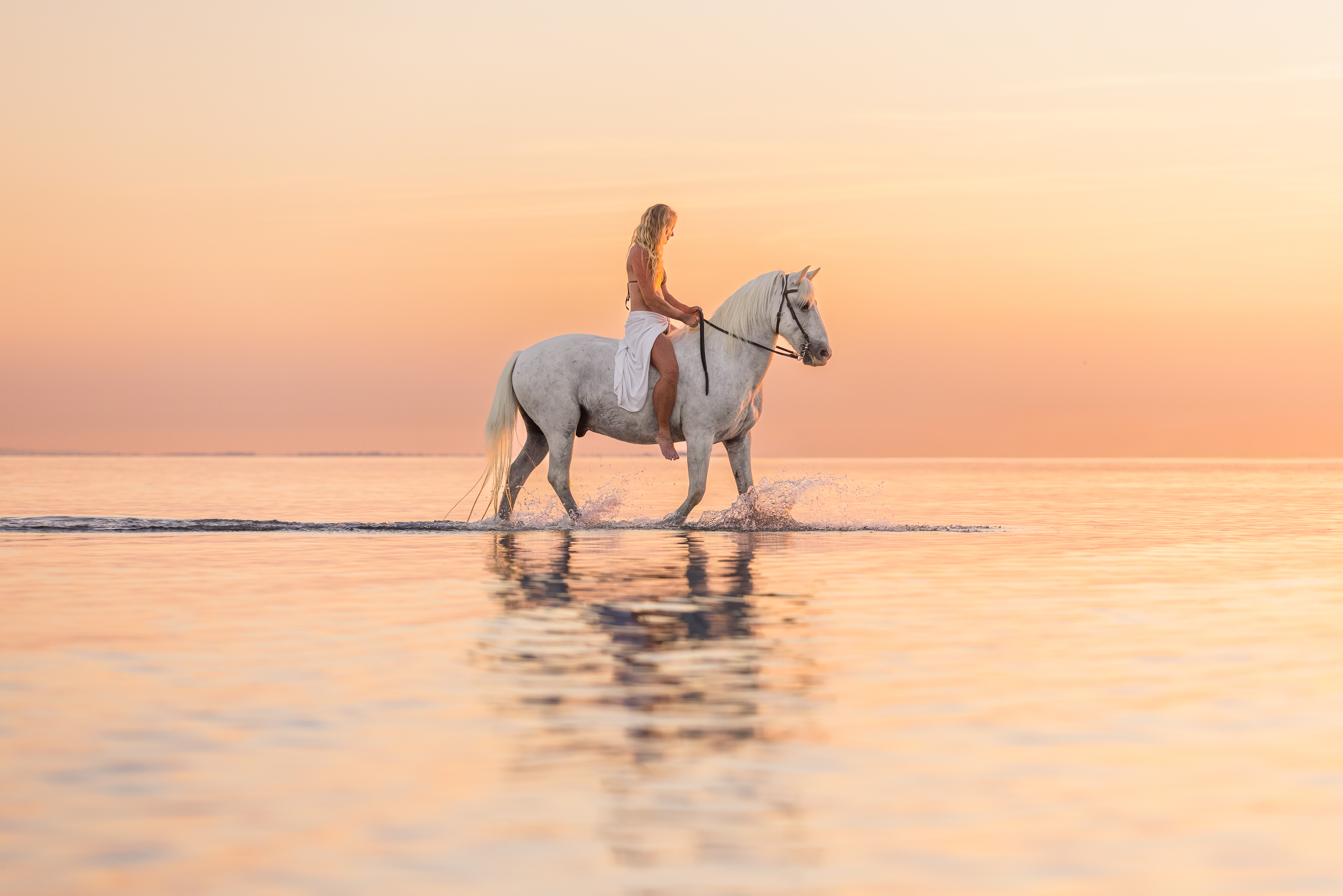 156A69567-Edit-2.jpg